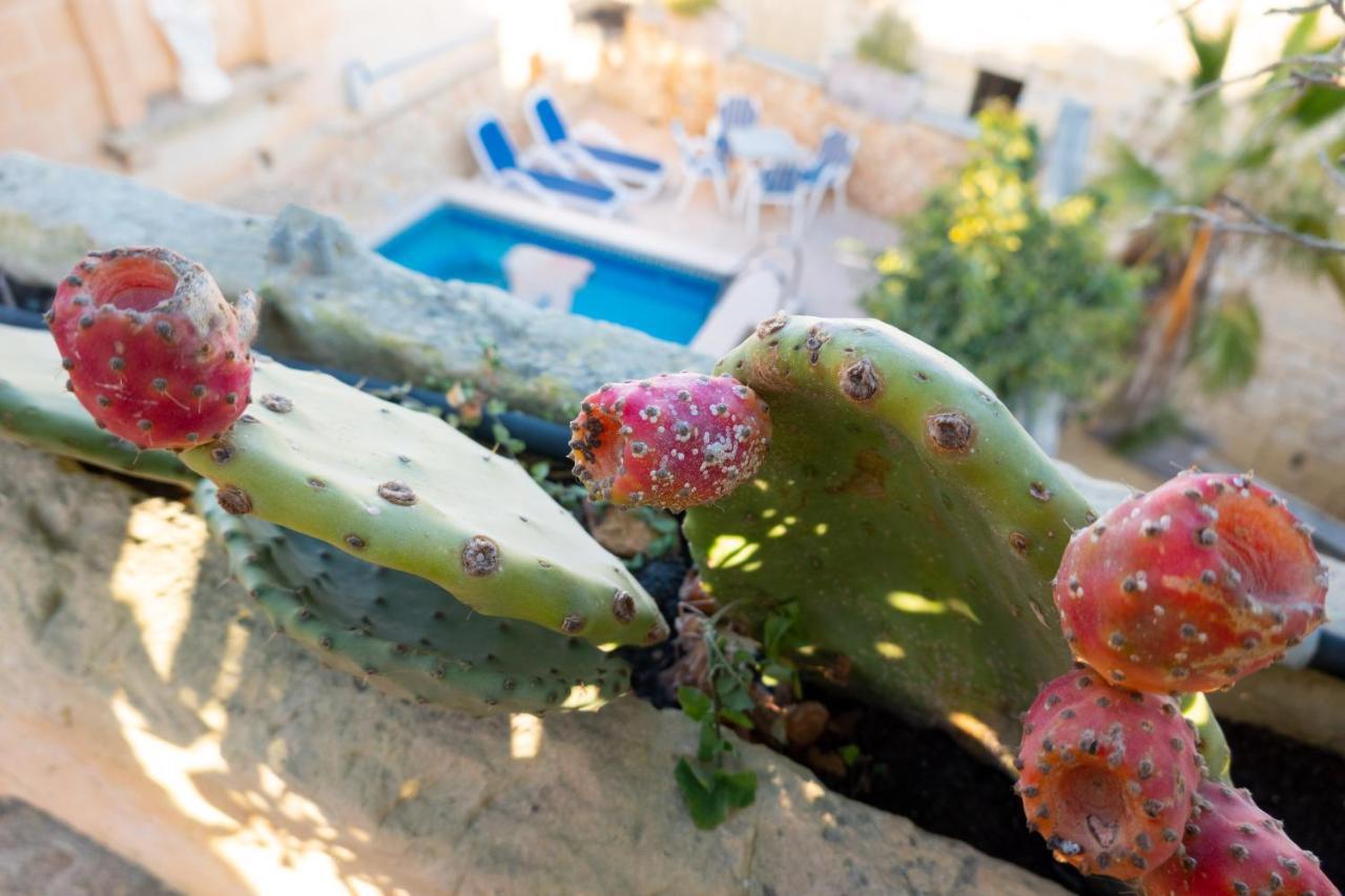 Prickly Pear Holiday Home No.1 San Lawrenz Εξωτερικό φωτογραφία