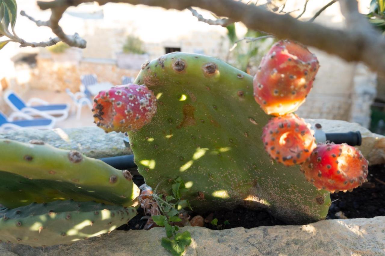 Prickly Pear Holiday Home No.1 San Lawrenz Εξωτερικό φωτογραφία