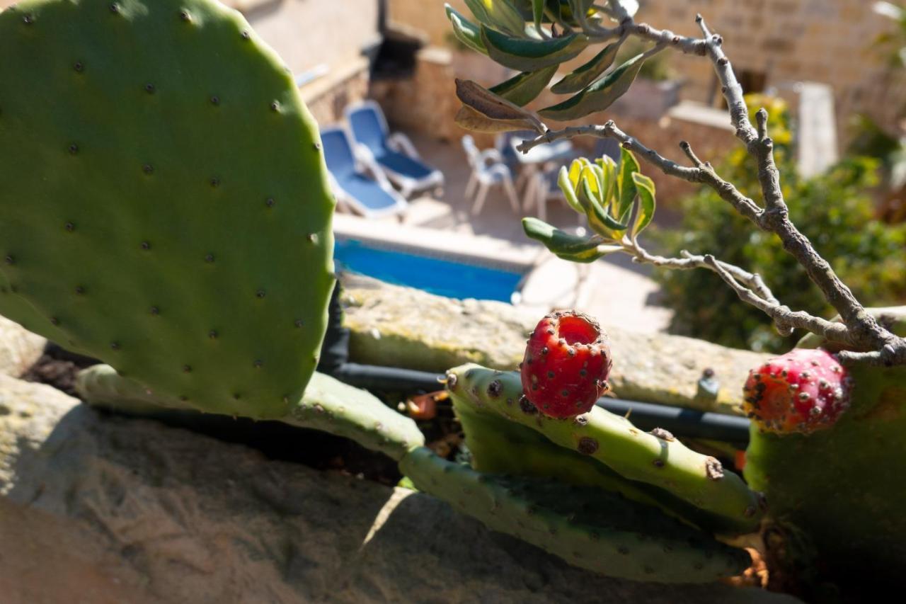 Prickly Pear Holiday Home No.1 San Lawrenz Εξωτερικό φωτογραφία